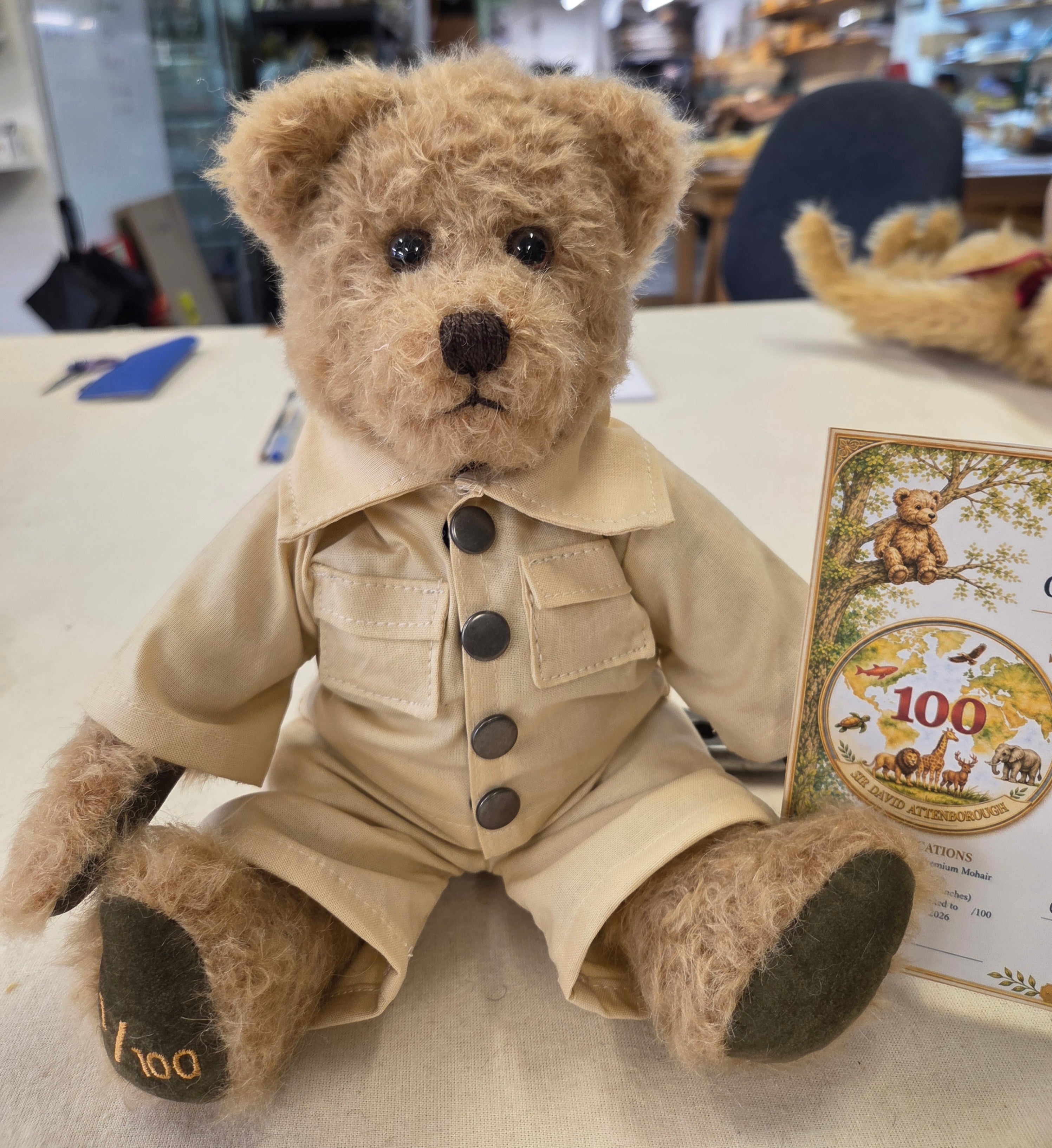 The David Attenborough Centenary Bear – Limited Edition