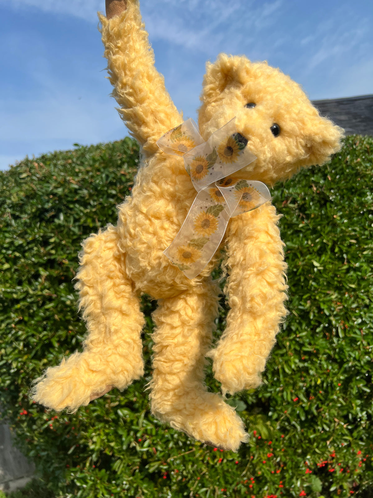 Humphrey