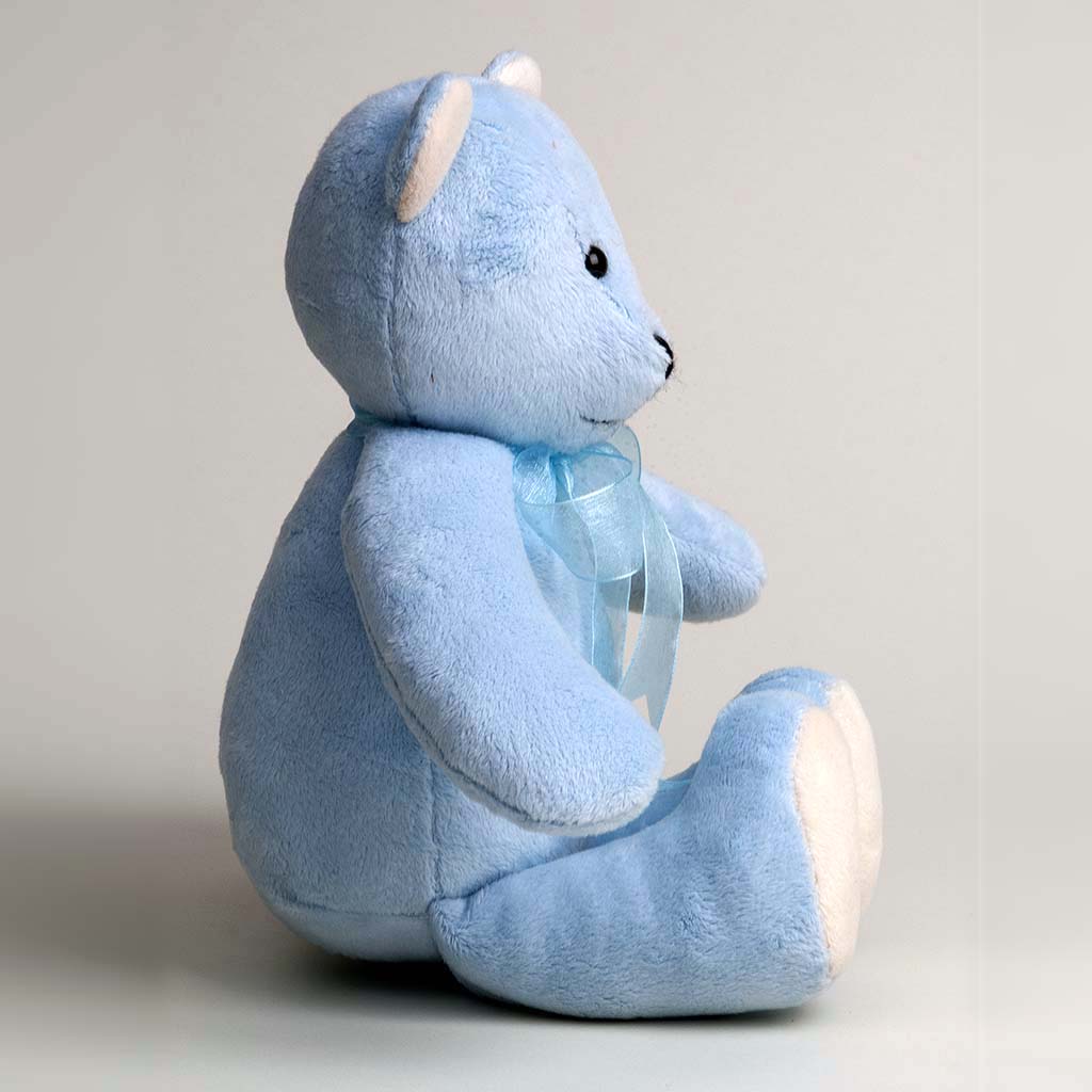 Isaac the Bear by Canterbury Bears