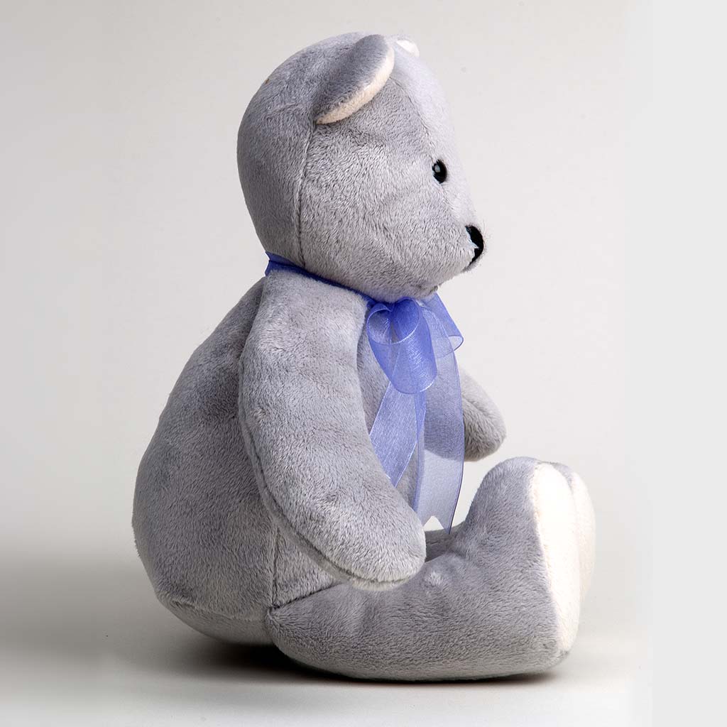 Leo the Bear by Canterbury Bears