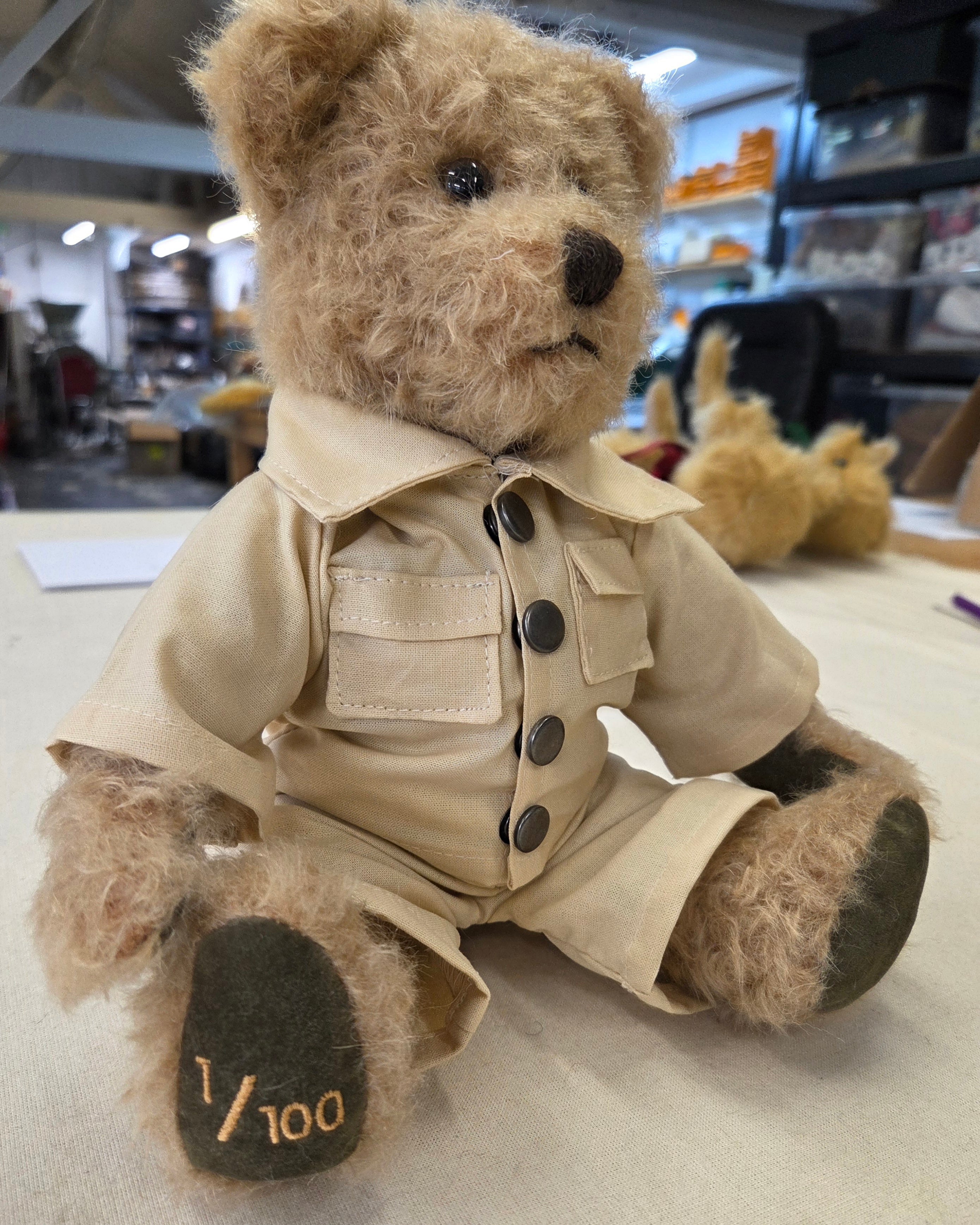 The David Attenborough Centenary Bear – Limited Edition