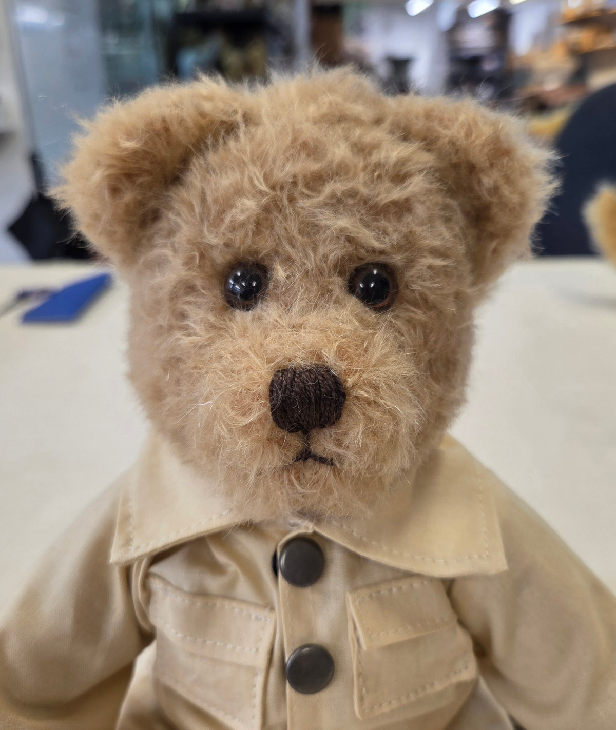 The David Attenborough Centenary Bear – Limited Edition