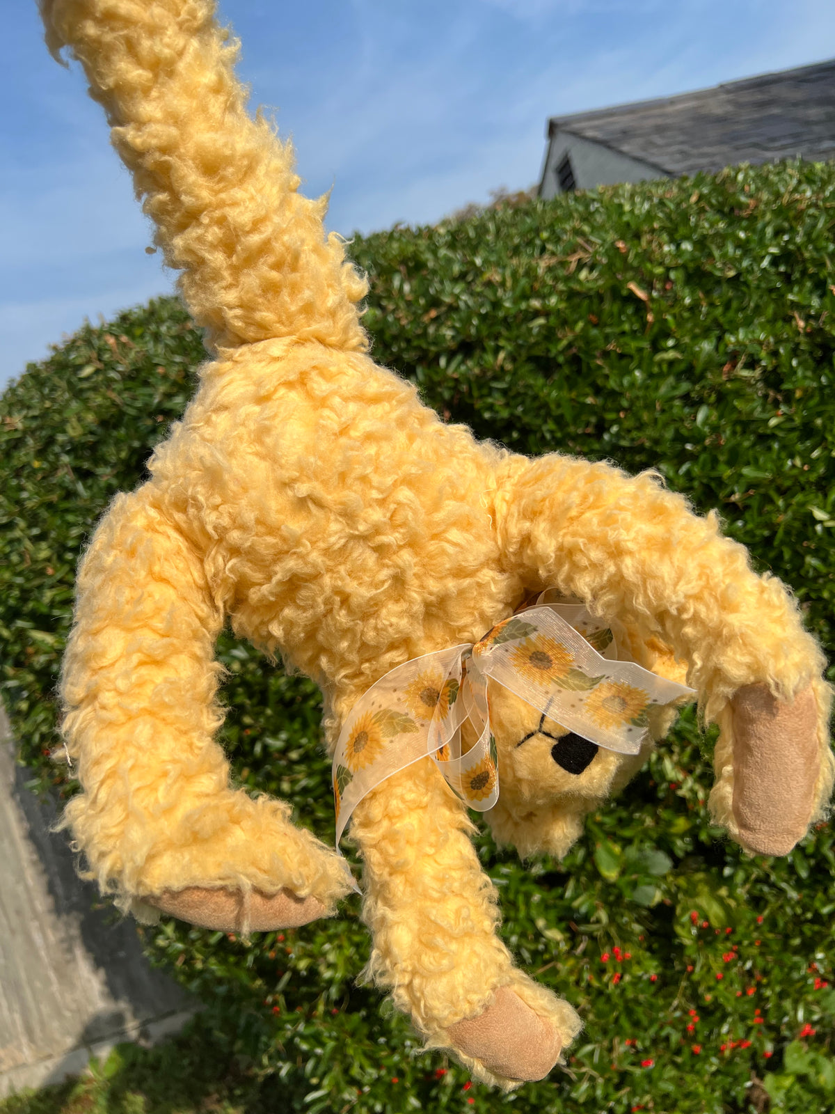 Humphrey